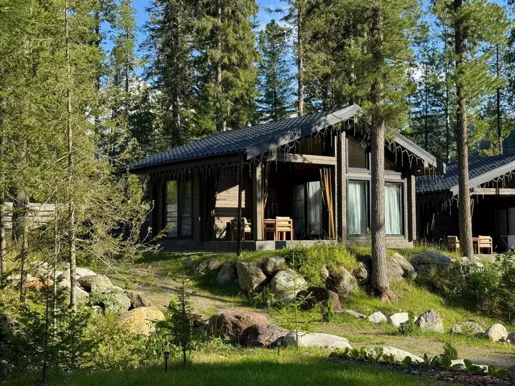 Дом в Алтай, Турочакский район, с. Артыбаш пер. Еловый, 11 (40 м) - Фото 1