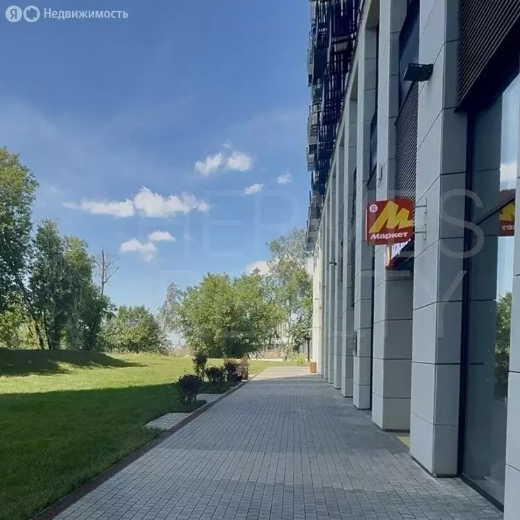 Офис (60.1 м) - Фото 1