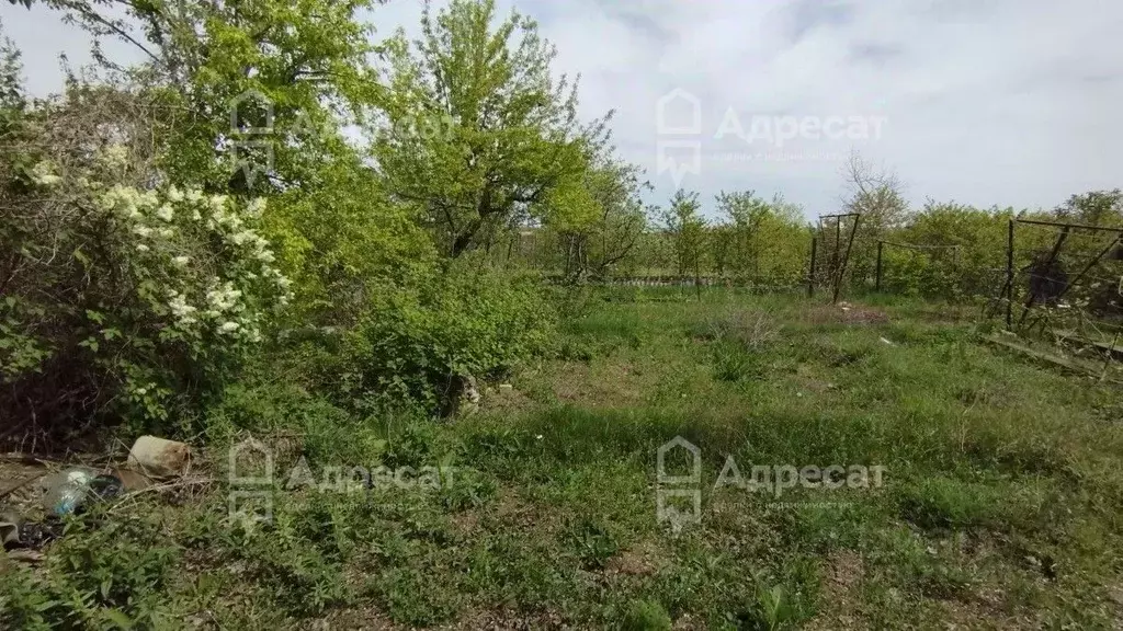 Участок в Волгоградская область, Волгоград Мичуринец СНТ, 11 (5.1 ... - Фото 1