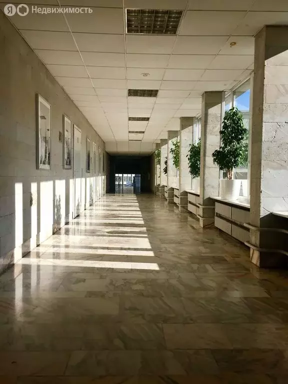 Офис (160 м) - Фото 2