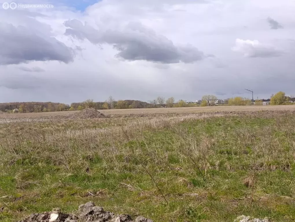 Участок в Калининградская область, Гурьевск (10 м) - Фото 2