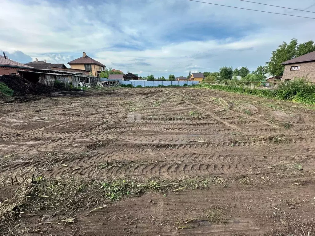 Участок в Новосибирская область, Новосибирский район, Мичуринский ... - Фото 1