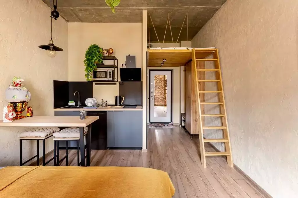 Студия Москва Университетский просп., 9 (24.0 м) - Фото 2