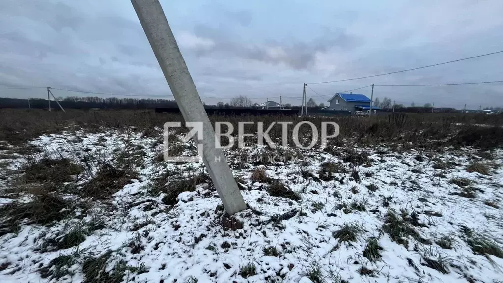 Участок в Ярославская область, Ярославский муниципальный округ, д. ... - Фото 2