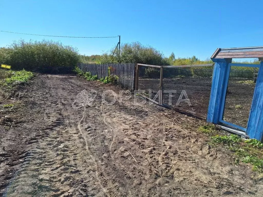 Участок в Тюменская область, Тюмень Лаванда садовое товарищество, ул. ... - Фото 1