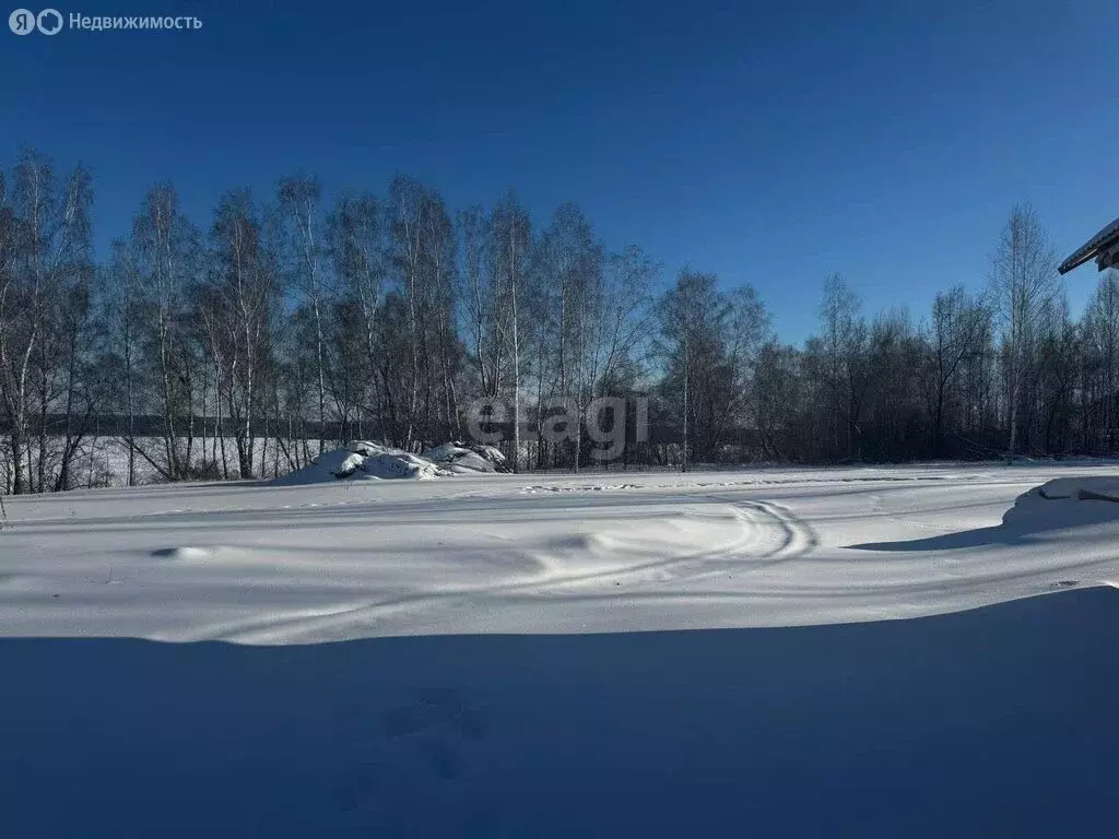 Участок в Искитимский район, Мичуринский сельсовет, дачное ... - Фото 0