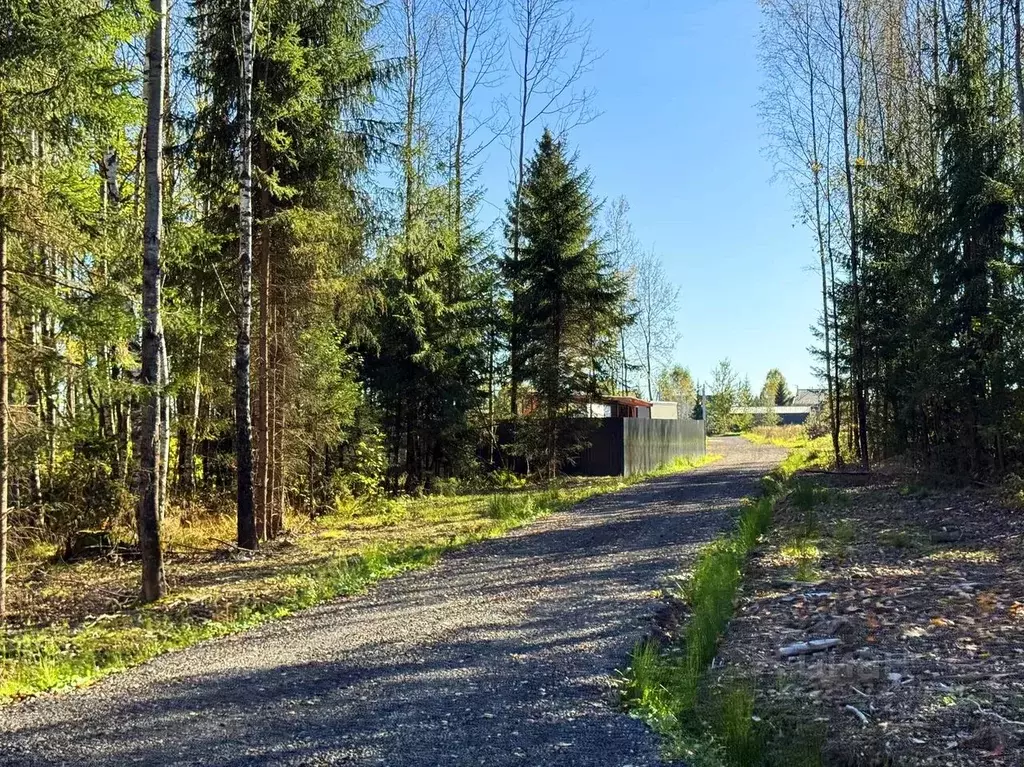 Участок в Московская область, Дмитровский муниципальный округ, ... - Фото 2