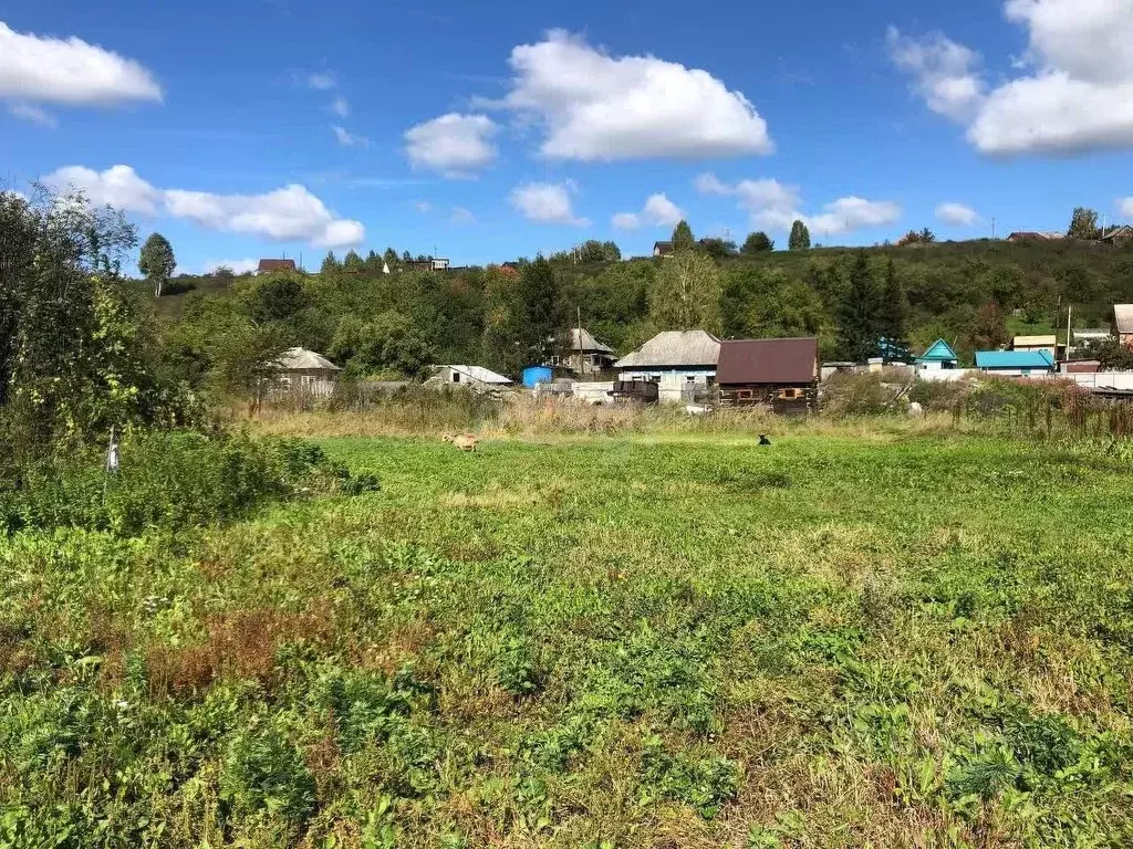 Дом в Кемеровская область, Новокузнецкий муниципальный округ, с. ... - Фото 1