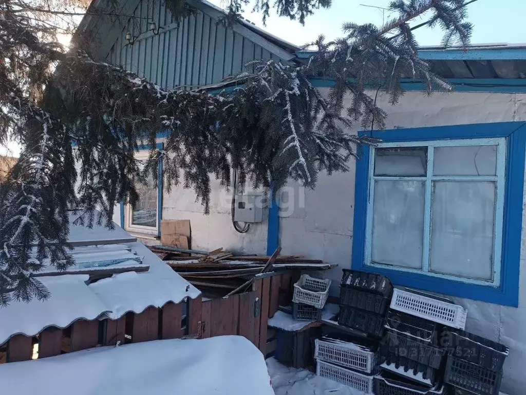 Дом в Амурская область, Белогорск Октябрьская ул., 10 (35 м) - Фото 1