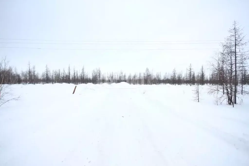 Участок в Ямало-Ненецкий АО, Новый Уренгой Фемида СНТ, ул. 1-я ... - Фото 1