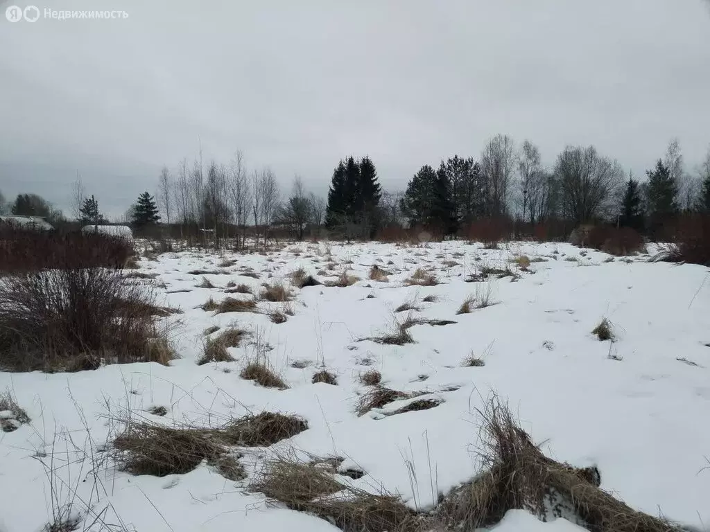 Участок в Успенское сельское поселение, деревня Зеленцы (16.5 м) - Фото 0