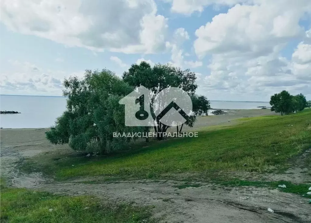 Участок в Новосибирская область, Новосибирский район, Морской ... - Фото 1