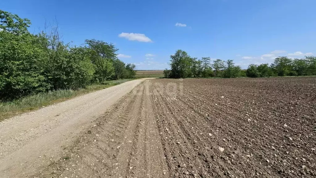 Участок в Крым, Белогорский район, Цветочненское с/пос, с. Долиновка  ... - Фото 0