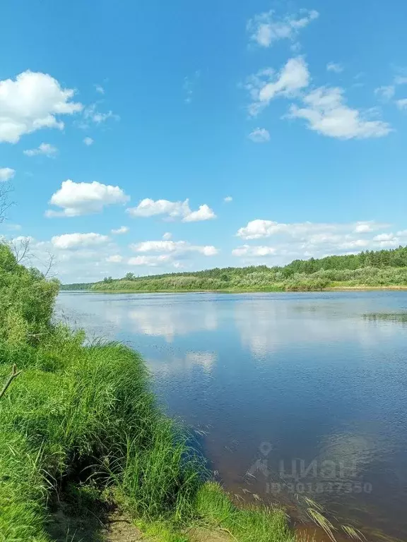 Участок в Нижегородская область, Бор  (20.0 сот.) - Фото 1