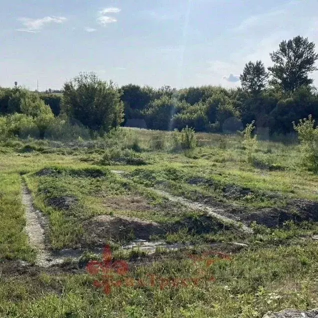 Участок в Белгородская область, Белгородский муниципальный округ, с. ... - Фото 1