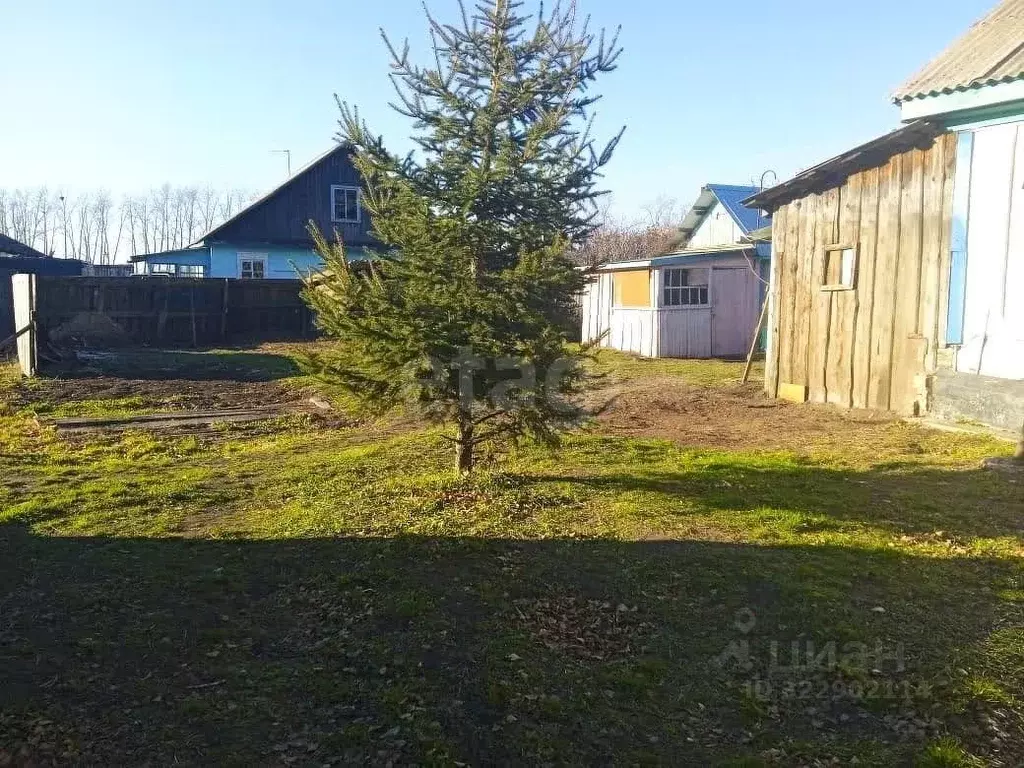Дом в Амурская область, Ивановский муниципальный округ, с. Солнечное ... - Фото 1