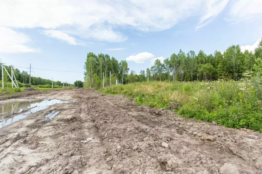 Участок в Тобольск, Тополиная улица, 2 (11 м) - Фото 2