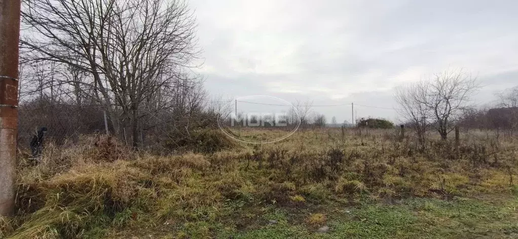 Участок в Калининградская область, Зеленоградский муниципальный округ, ... - Фото 1