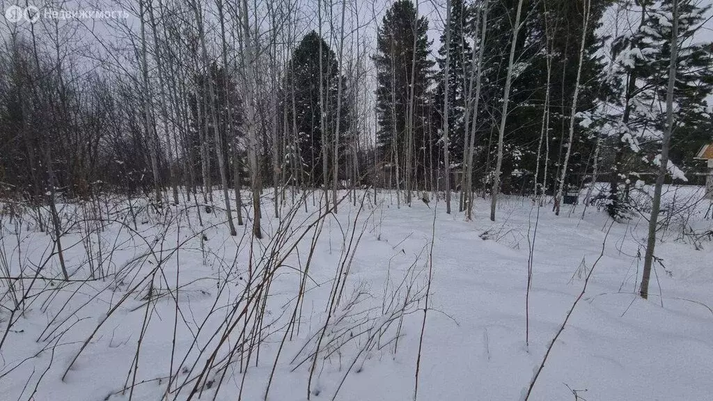 Участок в Томск, посёлок Родионово, улица Родиона Осляби, 21 (14.5 м) - Фото 1