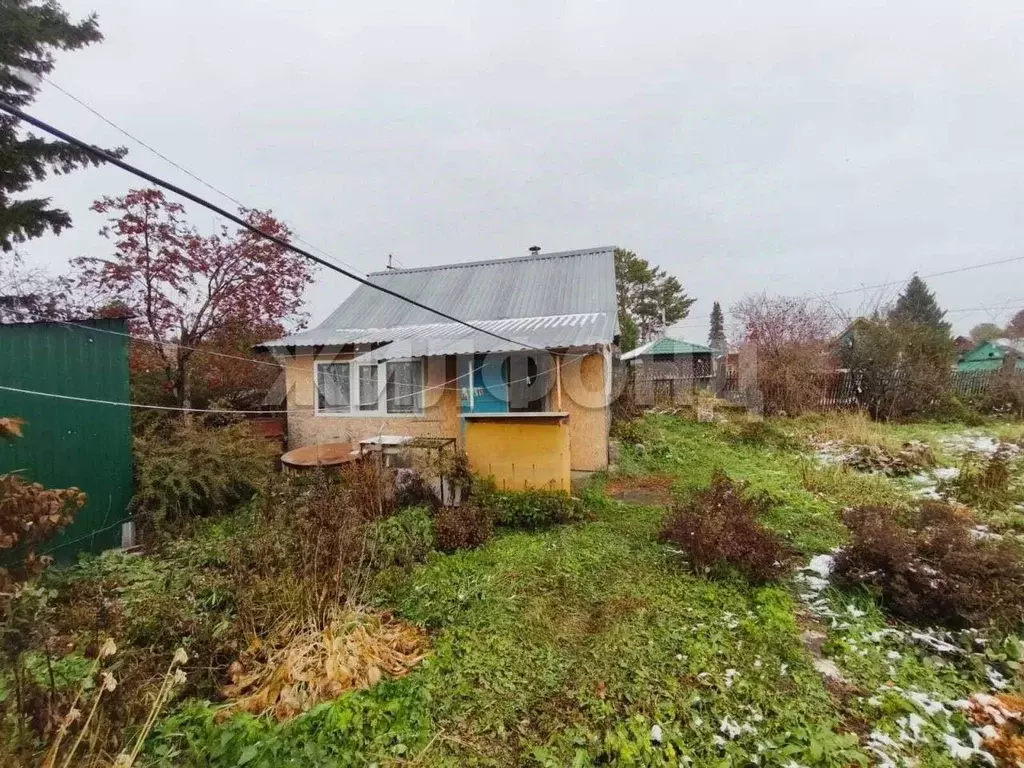 Дом в Новосибирская область, Новосибирский район, Толмачевский ... - Фото 1