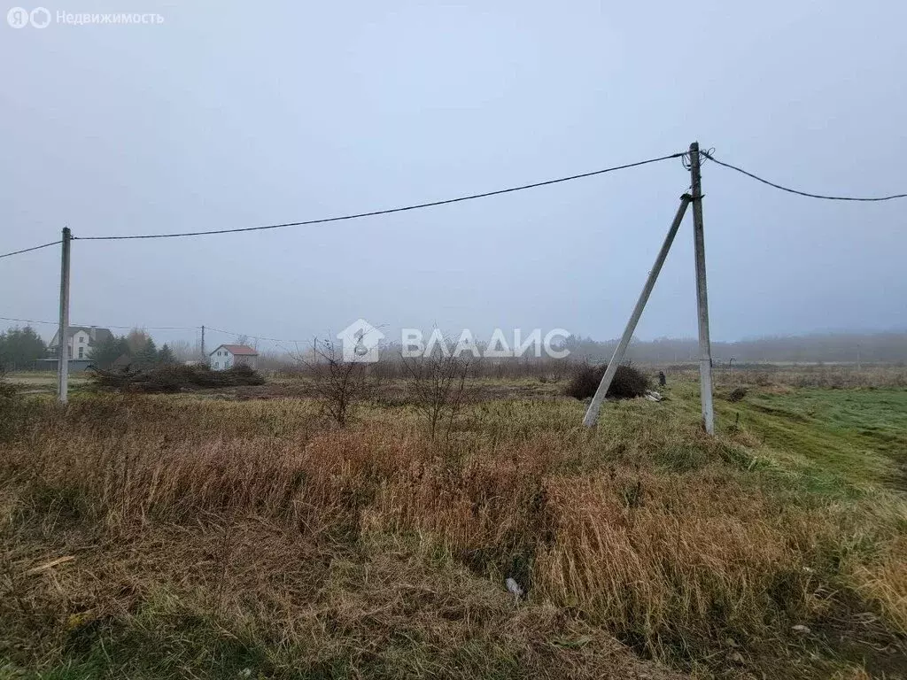 Участок в Калининградская область, Зеленоградский муниципальный округ, ... - Фото 2