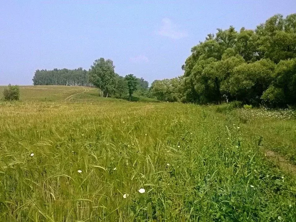 Участок в Владимирская область, Александровский муниципальный округ, ... - Фото 2