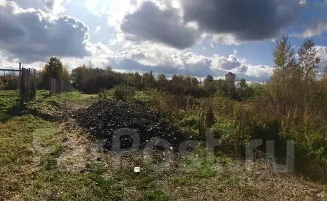 Участок в Хабаровский край, Хабаровский район, с. Некрасовка ул. ... - Фото 1