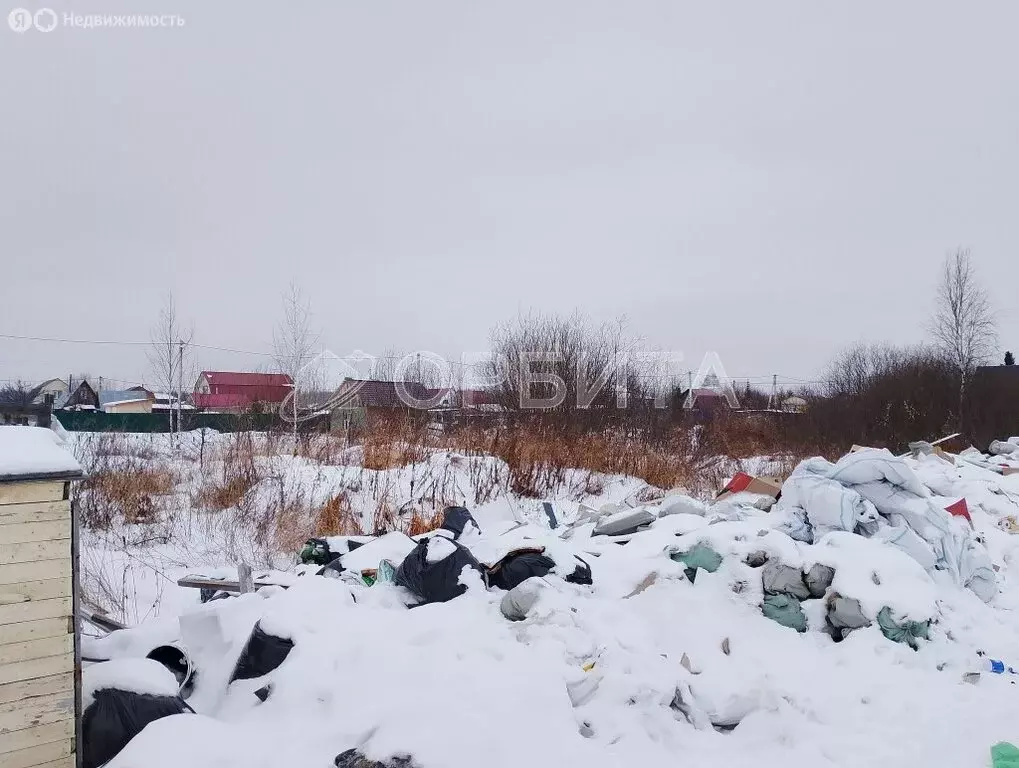 Участок в Тюмень, садовое товарищество Якорь, Липовая улица, 443 (5 м) - Фото 1