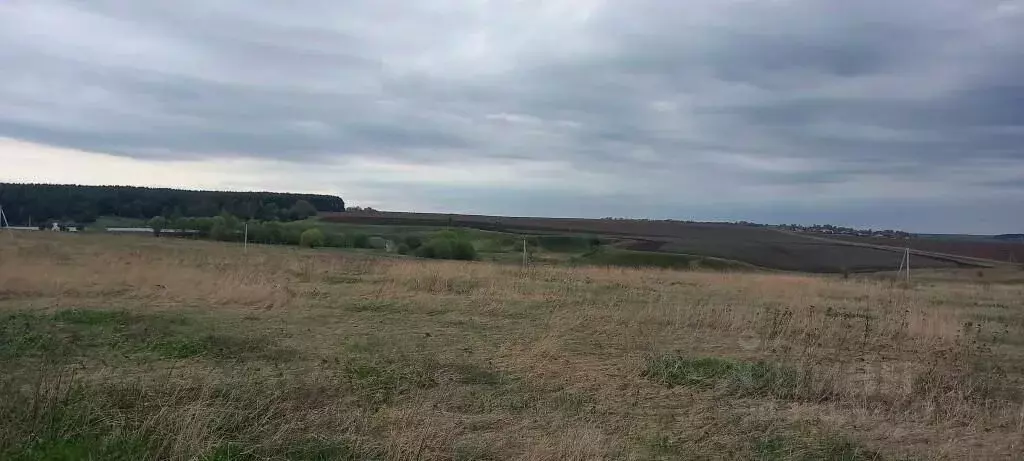 Участок в Владимирская область, Суздальский район, Павловское ... - Фото 1