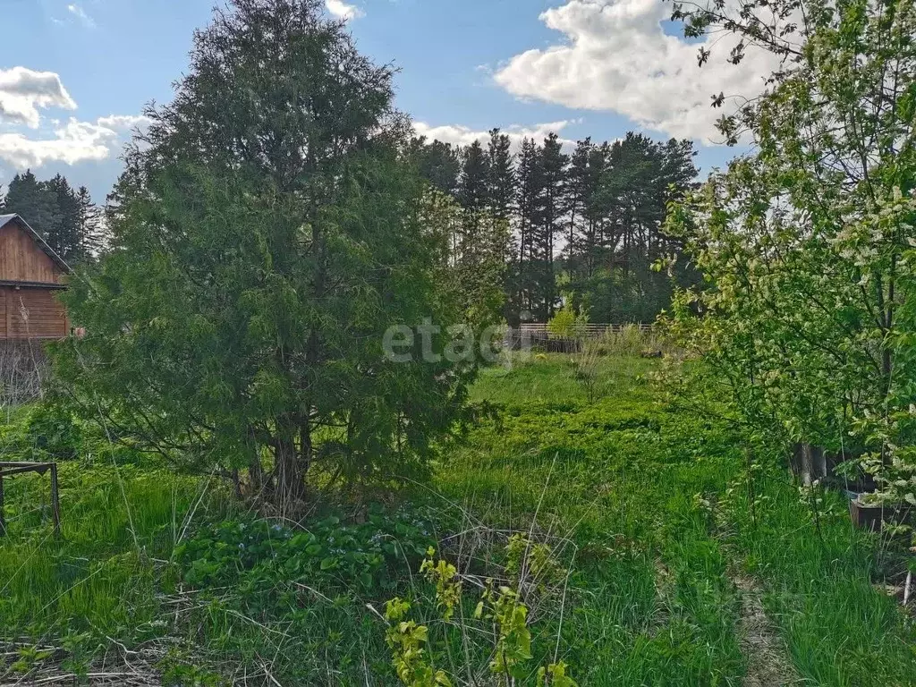 Участок в Томская область, Томский район, с. Курлек Сибирская ул. ... - Фото 0