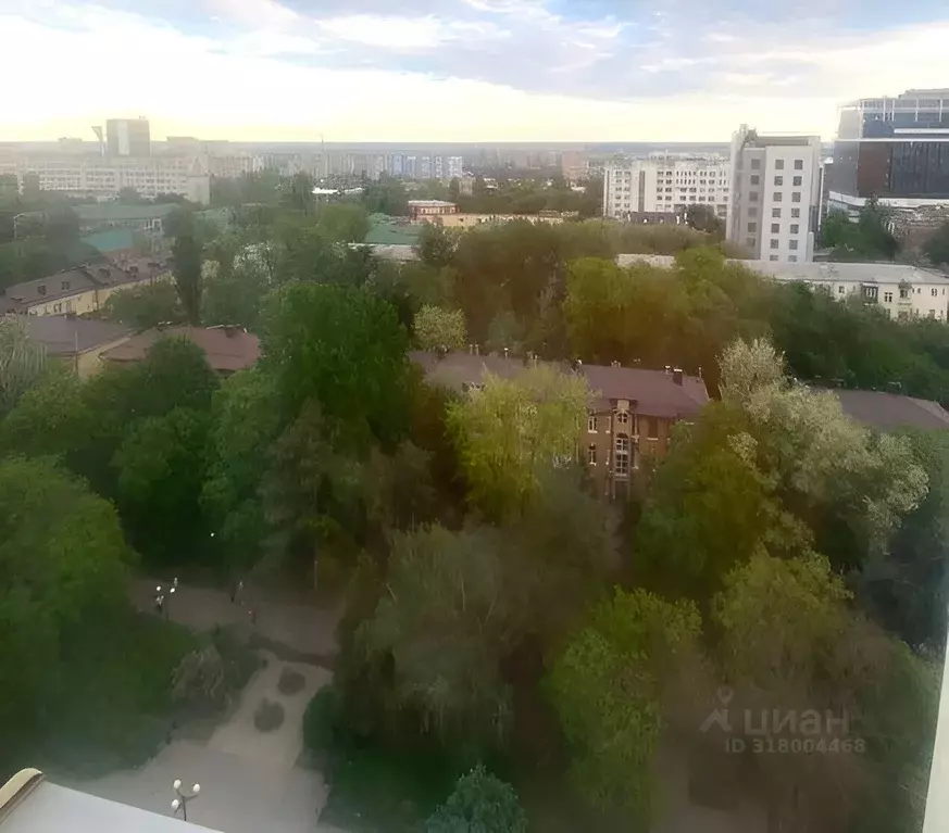 1-к кв. Ростовская область, Ростов-на-Дону Пушкинская ул., 215 (31.0 ... - Фото 1
