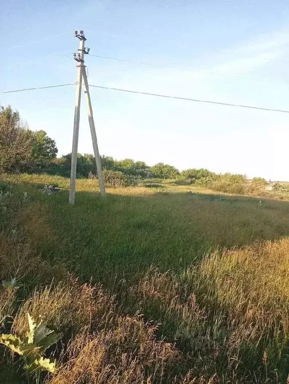 Участок в Воронежская область, Семилукский район, с. Девица пер. ... - Фото 1