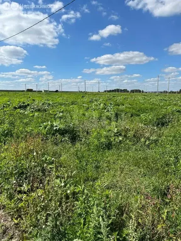 Участок в Тульская область, городской округ Новомосковск, деревня ... - Фото 1