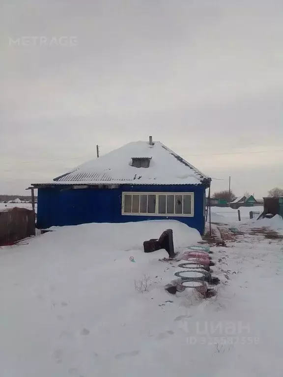 Дом в Новосибирская область, Кочковский район, с. Черновка ул. ... - Фото 2