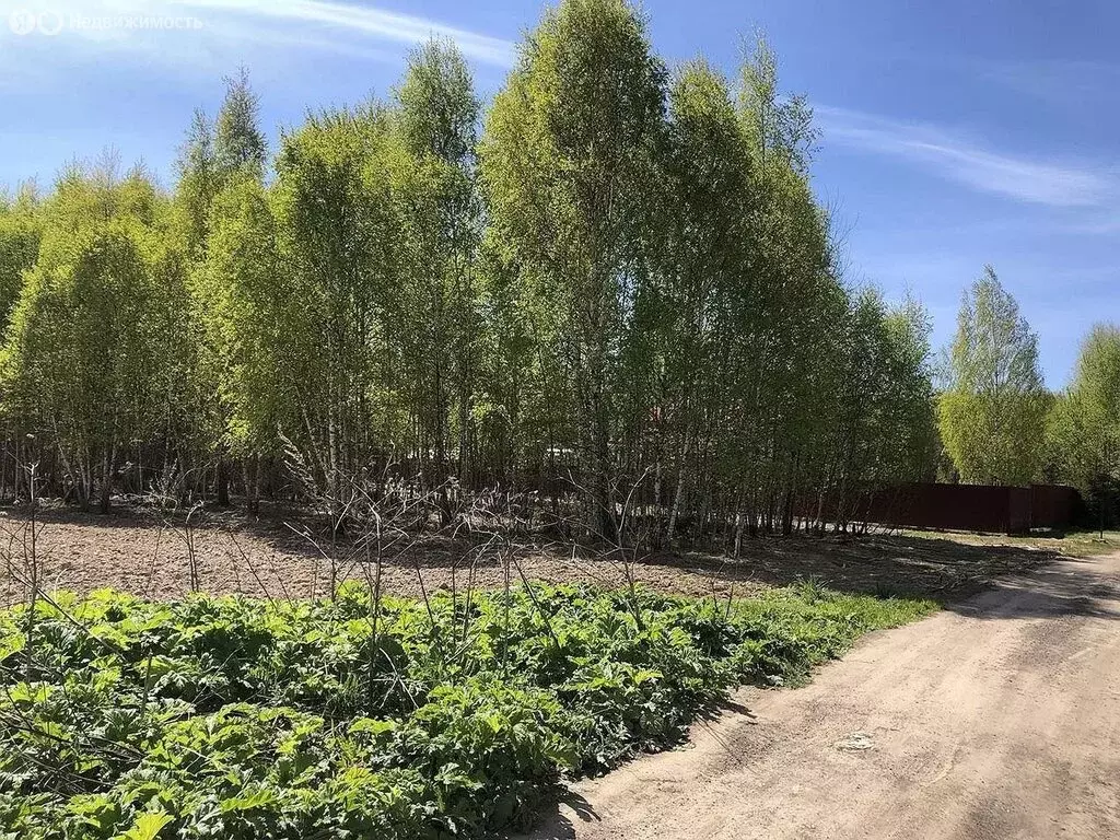 Участок в Московская область, городской округ Клин, деревня Давыдково ... - Фото 1