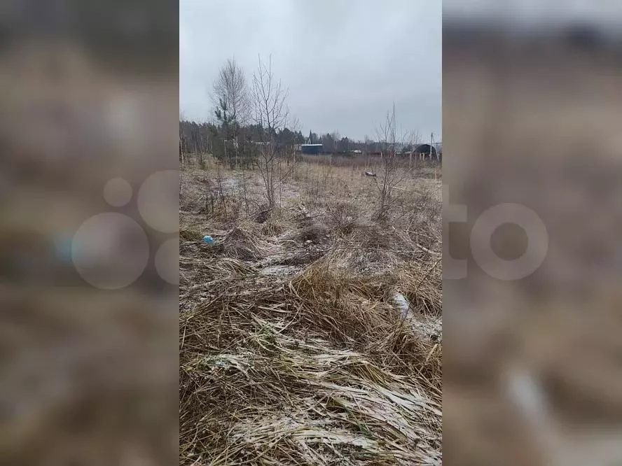 Участок 6 сот. (СНТ, ДНП) - Фото 0