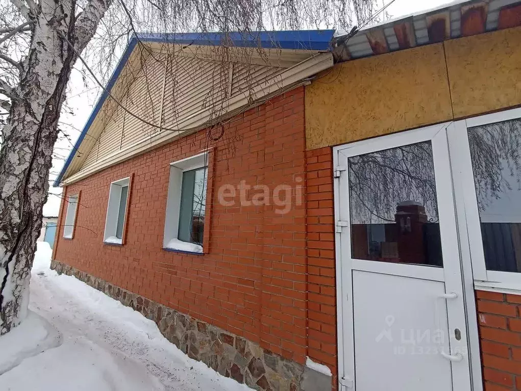 Дом в Челябинская область, Троицк  (90 м) - Фото 0
