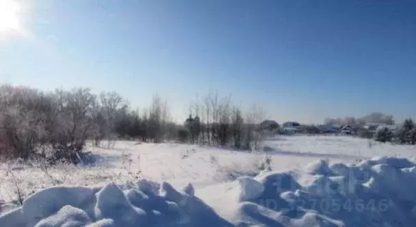 Участок в Московская область, Коломна городской округ, с. Андреевское  ... - Фото 1