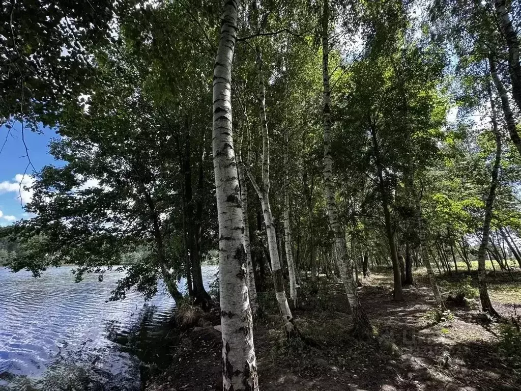 Участок в Московская область, Домодедово городской округ, д. Данилово  ... - Фото 2