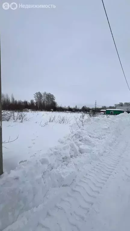 Участок в Первомайский район, СНТ Новогорское, 4-я линия (12 м) - Фото 1