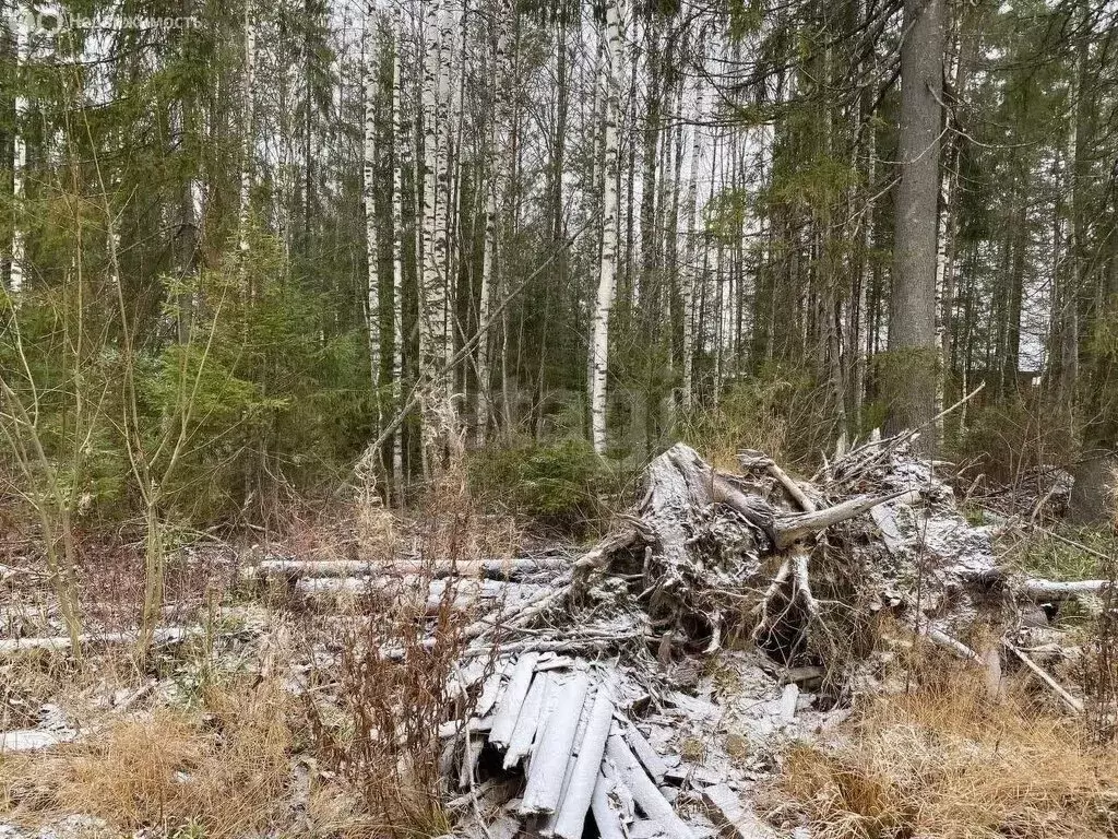 Участок в Сыктывкар, Эжвинский район, микрорайон Емваль (14 м) - Фото 2