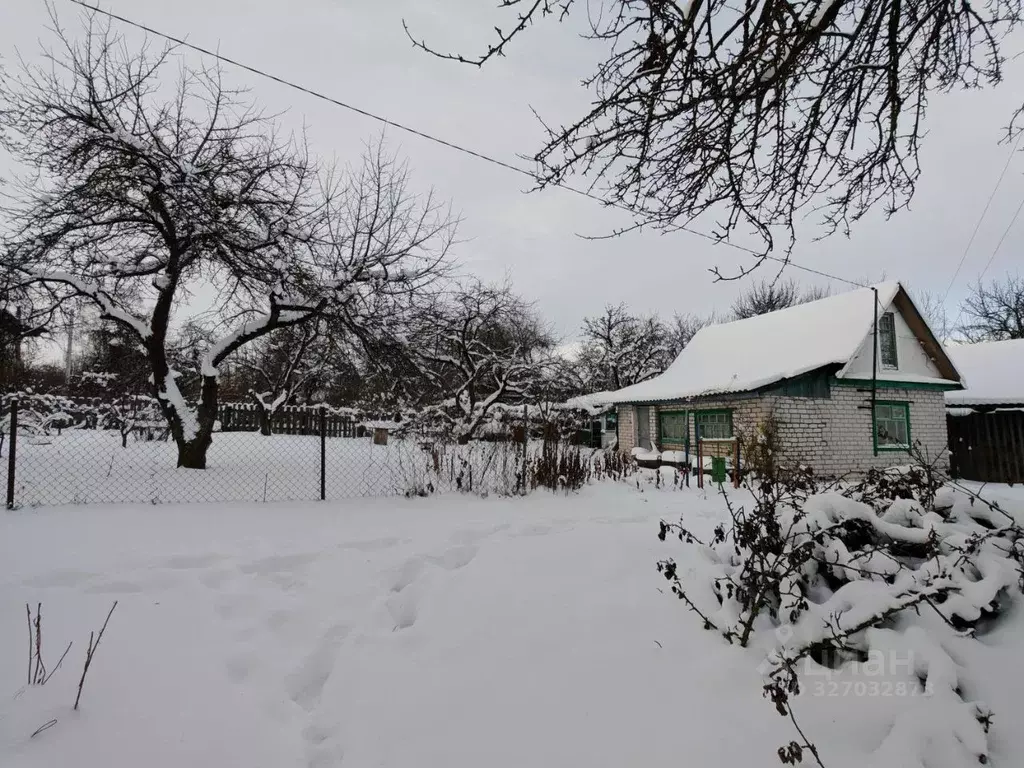 Участок в Брянская область, Брянский район, Снежское с/пос, пос. ... - Фото 2