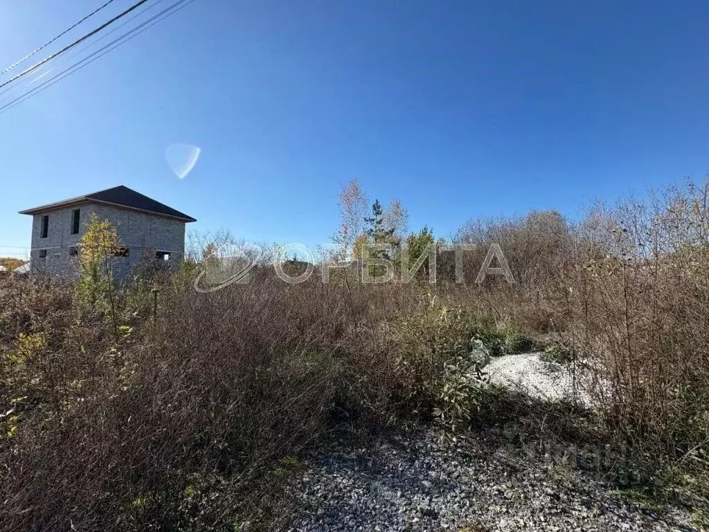 Участок в Тюменская область, Тюменский муниципальный округ, Винзили рп ... - Фото 2