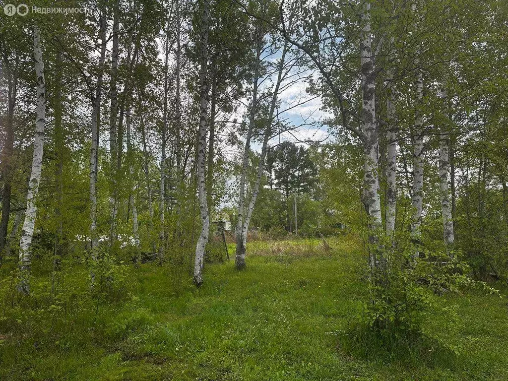 Участок в Хабаровский район, СНТ Автомобилист (8.5 м) - Фото 0