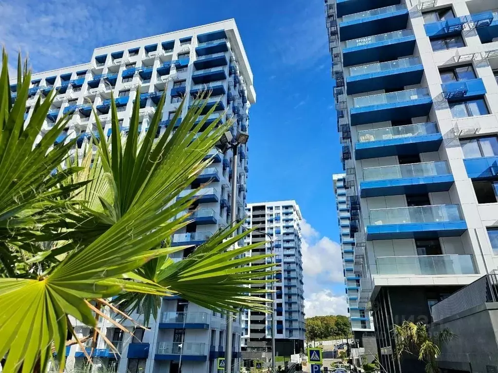 3-к кв. Краснодарский край, Сочи Бытха мкр, ул. Ясногорская, 16/2к4 ... - Фото 2