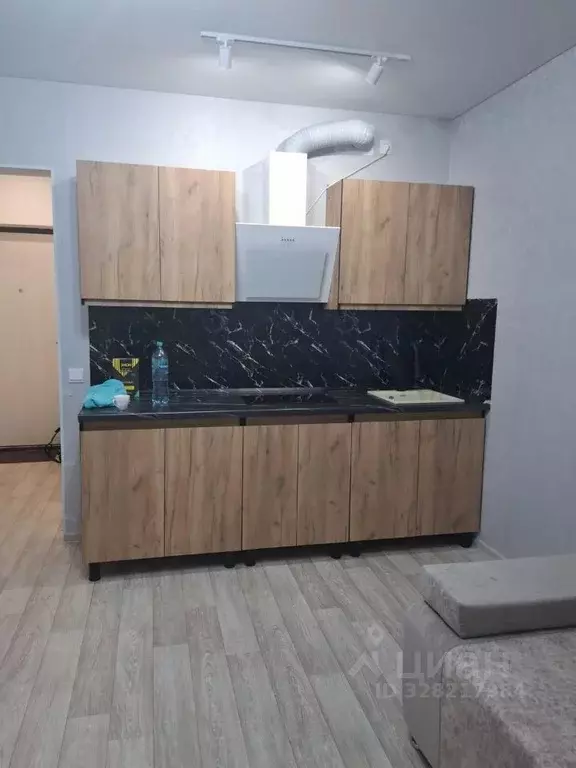 Студия Оренбургская область, Оренбург ул. Юркина, 6 (23.9 м) - Фото 2