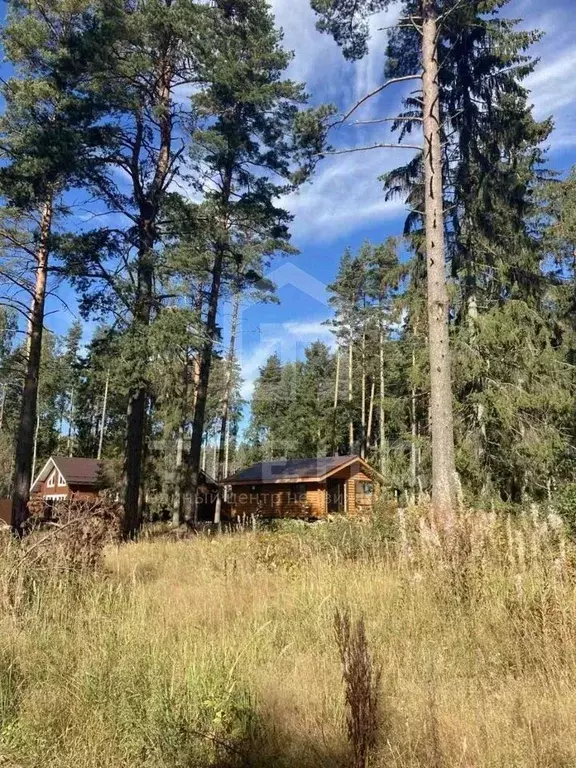 Участок в Ленинградская область, Выборгский район, Полянское с/пос, ... - Фото 0