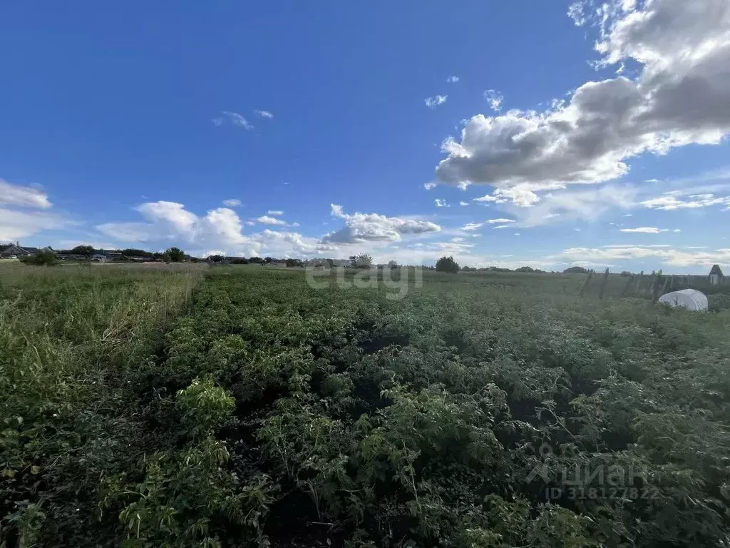 Участок в Мордовия, Кочкуровский район, с. Подлесная Тавла Московская ... - Фото 1