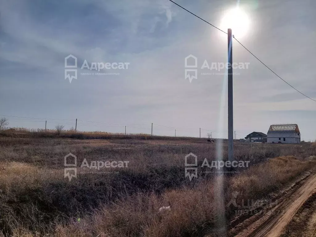 Участок в Волгоградская область, Волгоград ул. Новгородская (8.72 ... - Фото 0