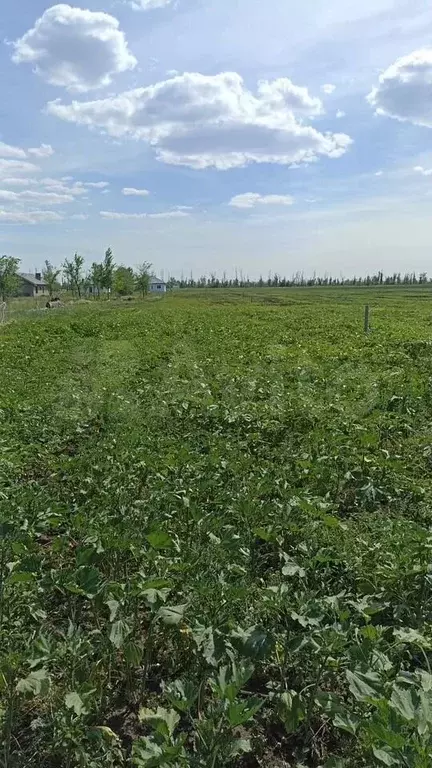 Участок 6,8 сот. (ИЖС) - Фото 1